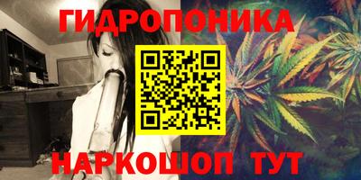 эйфоретик Будённовск