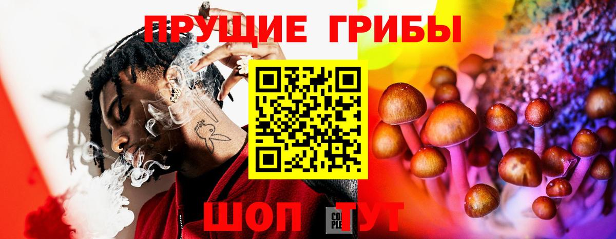 Псилоцибиновые грибы MAGIC MUSHROOMS  Вход с VPN  Галлюциногенные грибы Psilocybine cubensis  Куйбышев 
