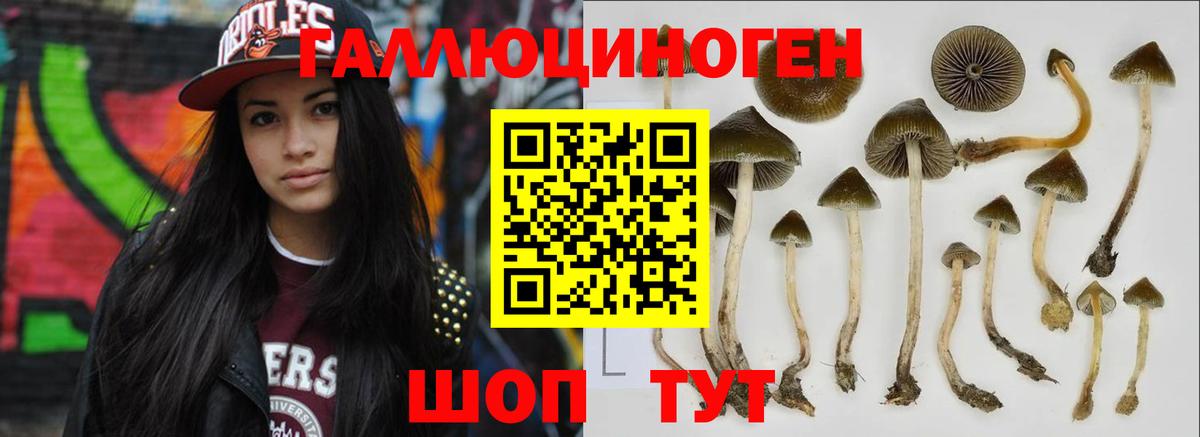 Галлюциногенные грибы прущие грибы Куйбышев
